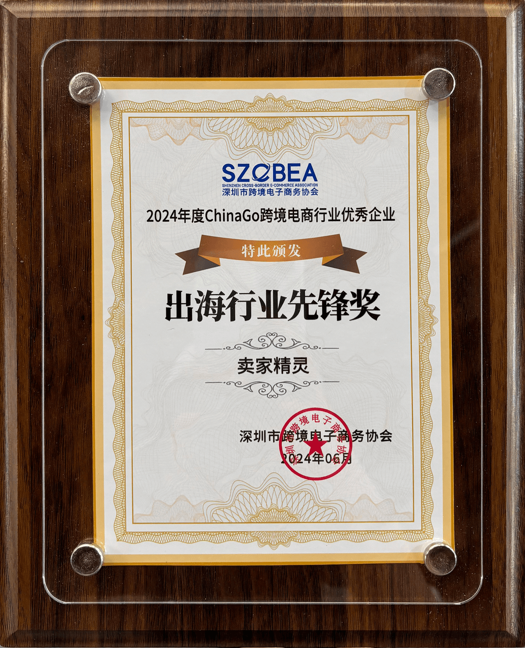 2024年度ChinaGo出海行業(yè)先鋒獎